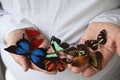 Many butterflies on a man's hands