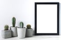 Many cactuses in concrete pots on white background and black empty picture frame Royalty Free Stock Photo