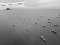Many cargo ships float in the sea