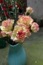 yellow carnation-Flower arrangement-Fresh cut flowers Royalty Free Stock Photo
