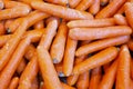 Many Carrot