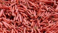 Many carrots on organic carrots heap as organic animal feedstuff and healthy fodder for cows and cattle for vegetarian nutrition w