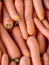 Many carrots on stal in street market