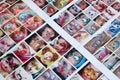 Many catalog pages with printed kids portraits with colorful face painting