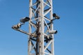 Many cctv on steel pole and blue sky