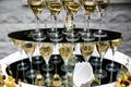 many champagne glasses Royalty Free Stock Photo