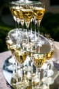 Many champagne glasses Royalty Free Stock Photo