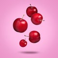 Many fresh cherry plums falling on pink background Royalty Free Stock Photo