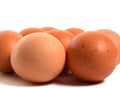 Many chiken brown eggs