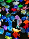 Many children's toy colorful fish in the water. Royalty Free Stock Photo