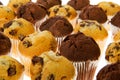 Many chocolate muffins Royalty Free Stock Photo