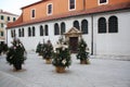 Christmas trees near St. Simon`s Church. Zadar. Croatia. Royalty Free Stock Photo