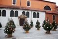 Christmas trees near St. Simon`s Church. Zadar. Croatia. Royalty Free Stock Photo