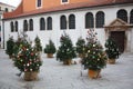 Christmas trees near St. Simon`s Church. Zadar. Croatia. Royalty Free Stock Photo