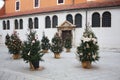 Christmas trees near St. Simon`s Church. Zadar. Croatia. Royalty Free Stock Photo