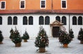 Christmas trees near St. Simon`s Church. Zadar. Croatia. Royalty Free Stock Photo