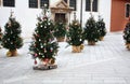 Christmas trees near St. Simon`s Church. Zadar. Croatia. Royalty Free Stock Photo