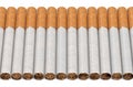 Many cigarettes in row Royalty Free Stock Photo