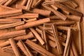 Many cinnamon sticks on powder