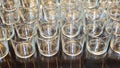 Clean Drinking Glasses Royalty Free Stock Photo