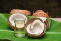Many Coconut cut in half dried copra for coconut oil Kerala India