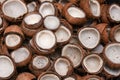 Many Coconut cut in half dried copra for coconut oil Kerala India