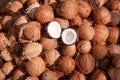Many Coconut cut in half Kerala India