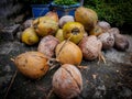 Many Coconuts In The Market. Lots of fresh green coconut. Pile of old coconut.