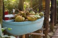 Many coconuts with roots lie in a blue ornamental boat, an outdoor park