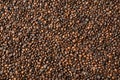 Many coffee beans as background, top view