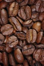 Many coffee beans dark roasted Royalty Free Stock Photo