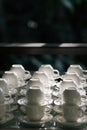 Many  coffee cup set up for tea break in business meeting conference refreshing up in afternoon sunshine, shot with narrow focus. Royalty Free Stock Photo