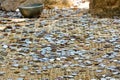 Many coins at the ground Royalty Free Stock Photo