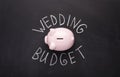Many coins in a piggy box with wedding budget text on black