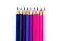 Many color pencils on white isolated background. close-up. top view. stationery Royalty Free Stock Photo