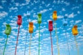 Many colored birds houses on long stems in the sky background