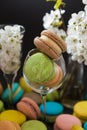 many colored macaroons on a black background with white apple blossom Royalty Free Stock Photo