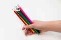 Many colored pencils in hand on a white background, close-up, Royalty Free Stock Photo