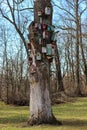 Many colorful bird houses on an old tree in a park in spring Royalty Free Stock Photo