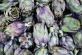 Many colorful heads of globe Artichokes for sale on farmers market