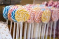 Many colorful lollipops candy for child
