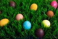 Many colorful painted Easter eggs in grass flat lay Royalty Free Stock Photo
