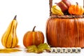 Many colorful pumpkins with autumn leaves on white background with space for text. Cubes with letters AUTUMN