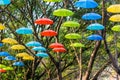 Many colorful umbrellas hanging on trees in the Shenzhen Zoo,China