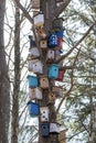Many Colorful and unique Birdnests houses or Birdhouses on Tree. Royalty Free Stock Photo
