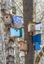 Many Colorful and unique Birdnests houses or Birdhouses on Tree. Royalty Free Stock Photo