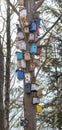 Many Colorful and unique Birdnests houses or Birdhouses on Tree. Royalty Free Stock Photo