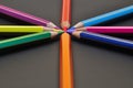 Many coloured pencils close up, metaphor of strategy and teamwork Royalty Free Stock Photo