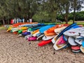 Many Kayaks For Rental, Rose Bay, Sydney, Australia