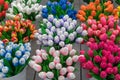 Colourful Wooden Tulips